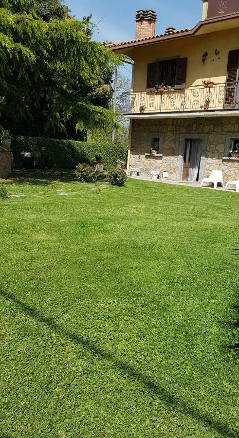 Bed and Breakfast Fili d'erba Bagnoregio Esterno foto